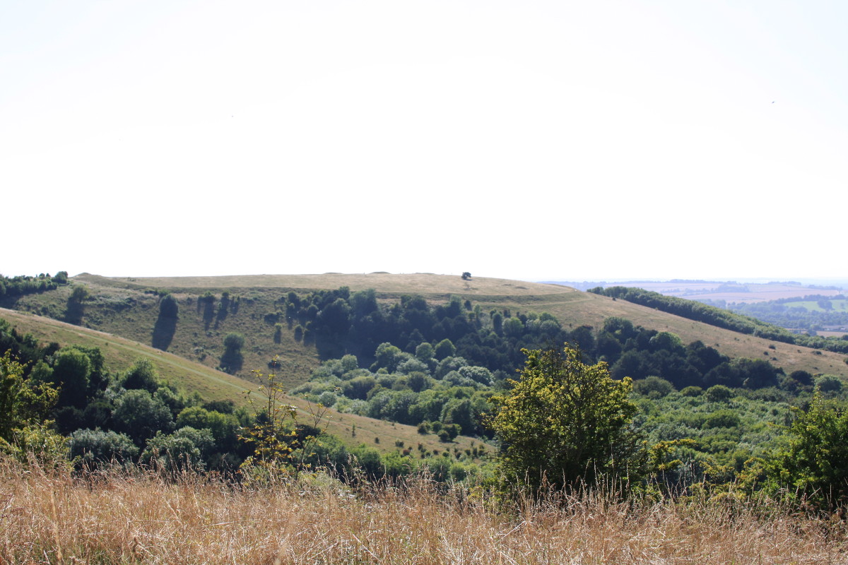 Old Winchester Hill